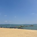 전남 보성 율포 네이버블로그