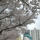 진명주유소 이미지