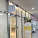 일상적 참사는 우리 몸과 마음에 무엇을 남기는가 | 수원 인계동 피부관리 더라르떼 재방문 스킨가드닝 후기
