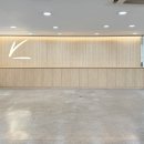 볼라투스 이미지