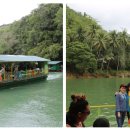 제주보홀 이미지