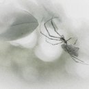 수묵담채화 이미지