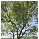 꿈꾸는 아이들의 미소 이미지