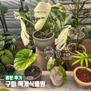 방문후기 : 구미 옥계식물원
