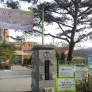 까치울초 이미지