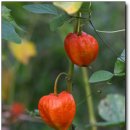 선물같은 하루 이미지