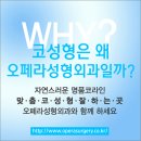 오페라성형외과의원 이미지