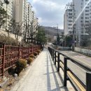 모락초등학교