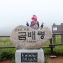 천상의화원 곰배령(2018.07.07) - 세번째 이야기 이미지