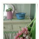 허브향기 이미지