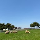 고향목장 이미지