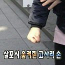 유*일 이미지