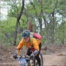 일산새마을금고 이미지