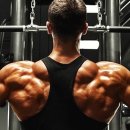 바디메써드 이미지