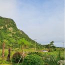 제주542펜션 이미지