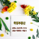 하영공인중개사사무소 이미지