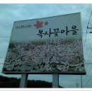 복사꽃마을 이미지