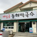 동해막국수 | 강릉 메밀골동해막국수 내돈내산 후기