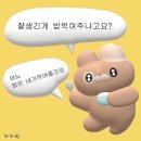 노시발 킵고잉