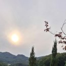쁘띠아르