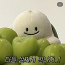 대왕김밥 이미지