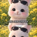 우림컴퍼니