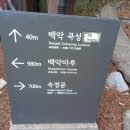 곡성-039 이미지