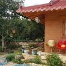 정희네 들꽃이야기 이미지