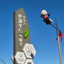 매일건재사