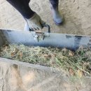 가족울터