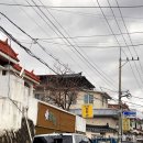 명서할인마트 - 49897 | 명서할인마트