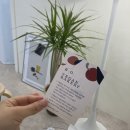 비오(B.O) | 경산 사동 비오(B.O.)카페 솔직후기