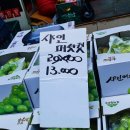 휘난새
