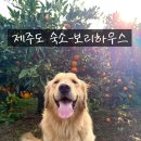 제주도 가족 펜션 오드리하우스 | 제주도 서귀포 가성비 가족펜션, 가족 숙소- 보리 하우스 (재방문의사 100%)