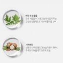 그린워터 이미지