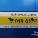 오늘따라청둥오리 이미지
