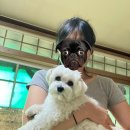 유설희간호학원 | 언제 고칠래 빈그릇 증후군