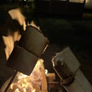 마시멜로냥 이미지