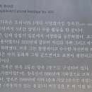 연안부부인전씨묘 네이버블로그