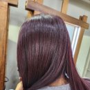 염색나라 이미지