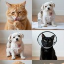 부평하나로약국 이미지