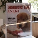 카페 더쿠 이미지