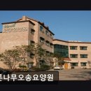 푸른나무 | [청주 요양원/추천/후기/가격] 푸른나무오송요양원 청주 요양원 푸른나무오송요양원, 평점 3.5