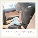 아이진 | 시크 주니어카시트 맥스아이진2 후기 / 한달 사용 장점과 단점