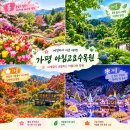 가평 아침고요수목원에 가면 꼭 들러야 할 힐링 여행지 이미지