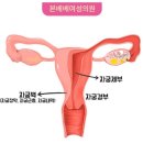 본베베여성의원 이미지