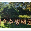 장자호수생태공원 이미지