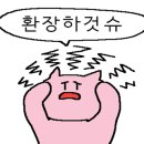 천안워시존 이미지
