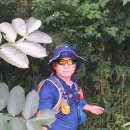 반곡저수지 이미지