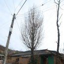 박종철공인중개사사무소 이미지